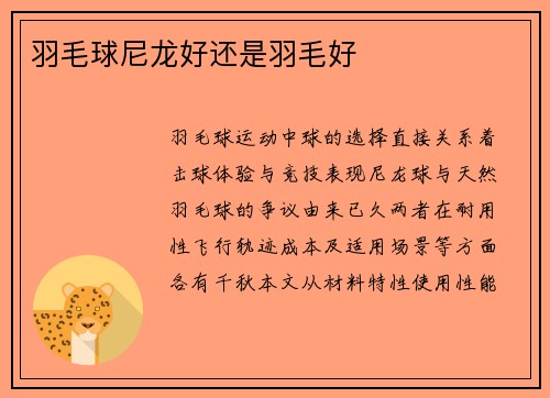 羽毛球尼龙好还是羽毛好