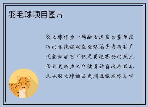 羽毛球项目图片
